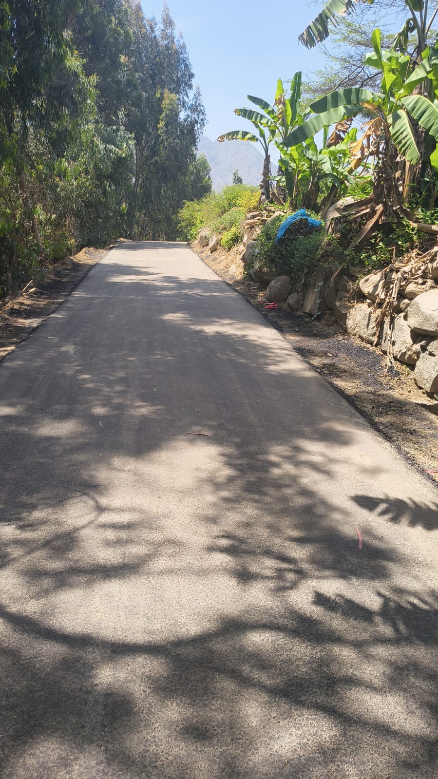 obra soltelec Simbal